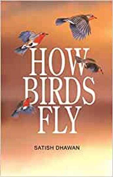 HOW BIRDS FLY